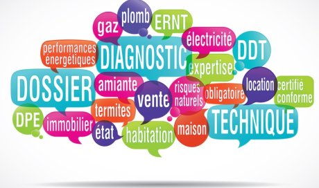 Diagnostic immobilier en Pays Thouarsais et Saumurois : SCEDI GOBIN à l'honneur dans la presse